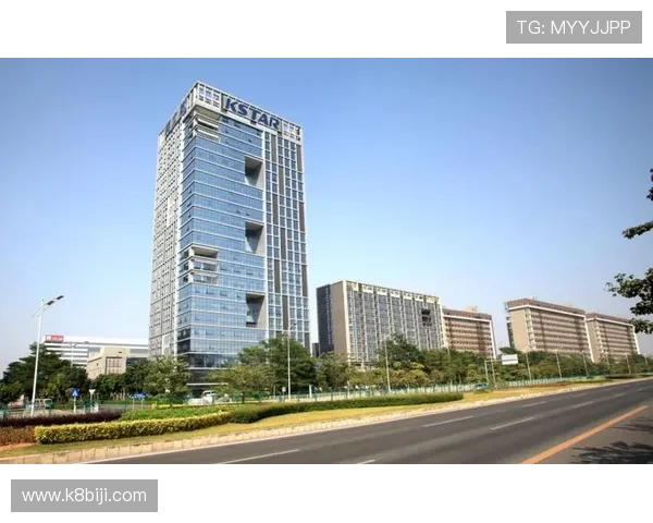 k8凯发官网用户体验优化措施提升网站性能与操作流畅度的最新动态